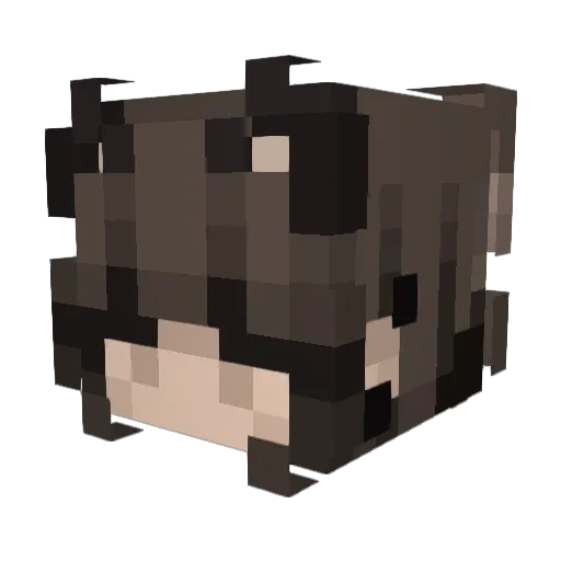 g00chmaster Minecraft avatar head, 3D render