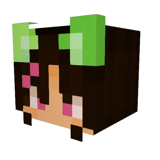 g0dcat Minecraft avatar head, 3D render