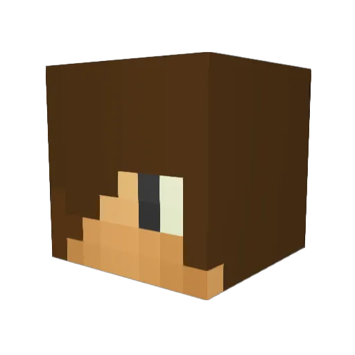g123456879 Minecraft avatar head, 3D render