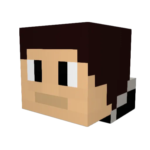 g21j21_ Minecraft avatar head, 3D render