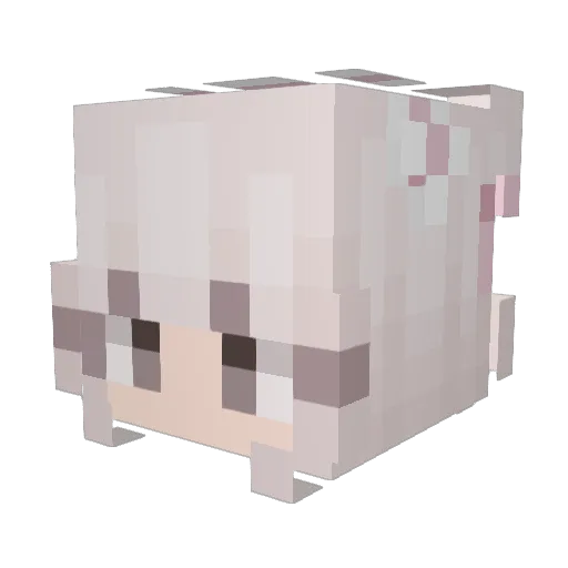 g30rg1aaa Minecraft avatar head, 3D render