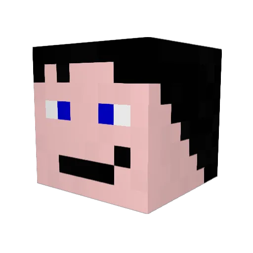 g318 Minecraft avatar head, 3D render