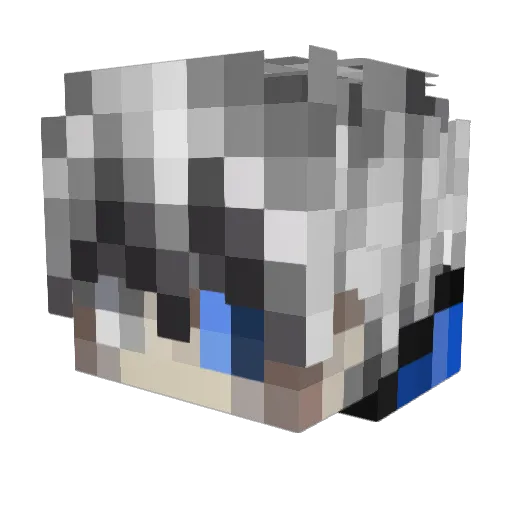 g4m3Boy666 Minecraft avatar head, 3D render
