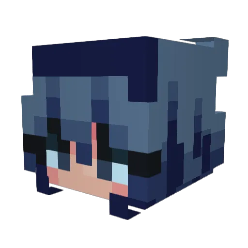 g4yforyou Minecraft avatar head, 3D render