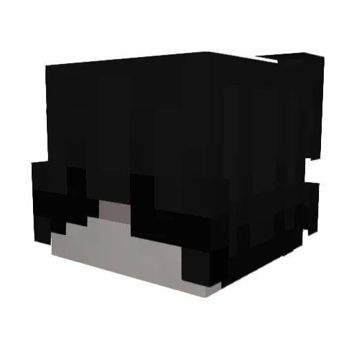 g7ov Minecraft avatar head, 3D render