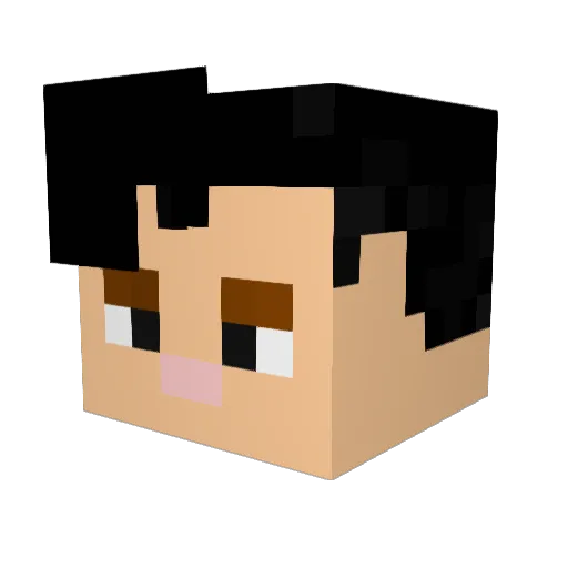 gGo123 Minecraft avatar head, 3D render