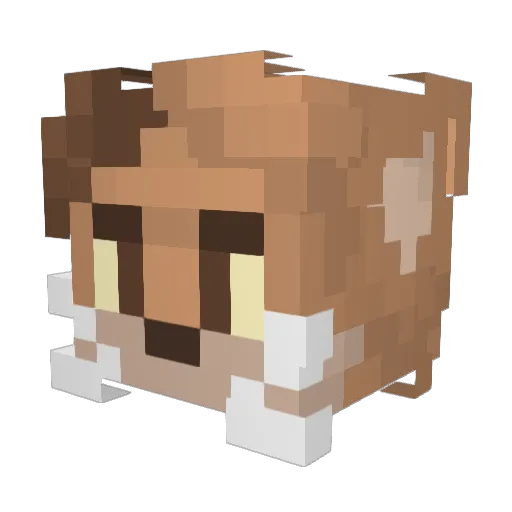 gMaasc Minecraft avatar head, 3D render