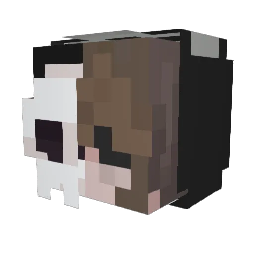 g_ah0811 Minecraft avatar head, 3D render