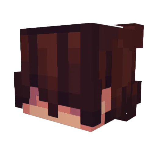 g_allows Minecraft avatar head, 3D render