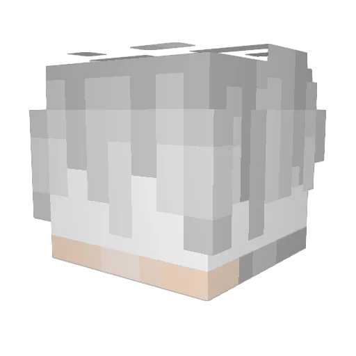 g_b_r Minecraft avatar head, 3D render