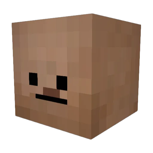 gaary223 Minecraft avatar head, 3D render