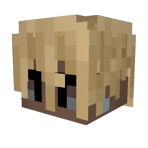 gabao_00 Minecraft avatar head, 3D render