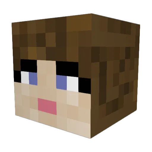 gabbadoo Minecraft avatar head, 3D render
