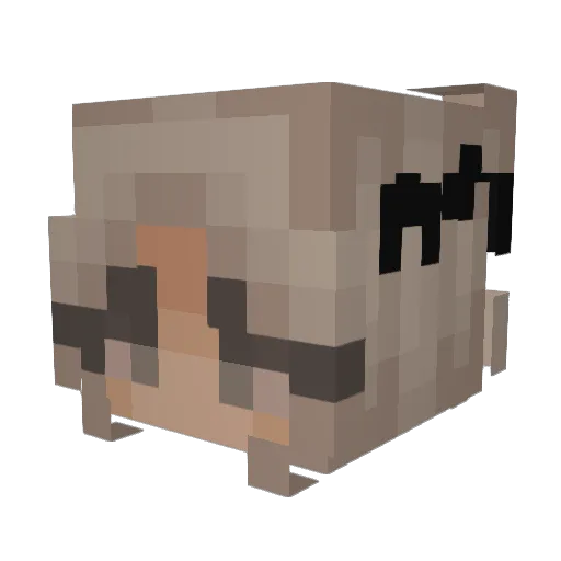 gabboking626 Minecraft avatar head, 3D render