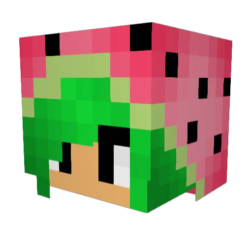 gabby66705 Minecraft avatar head, 3D render