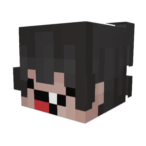 gabeGAMER3000 Minecraft avatar head, 3D render