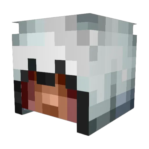 gabedamanz_4 Minecraft avatar head, 3D render