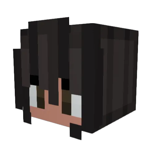 gabeitches20 Minecraft avatar head, 3D render