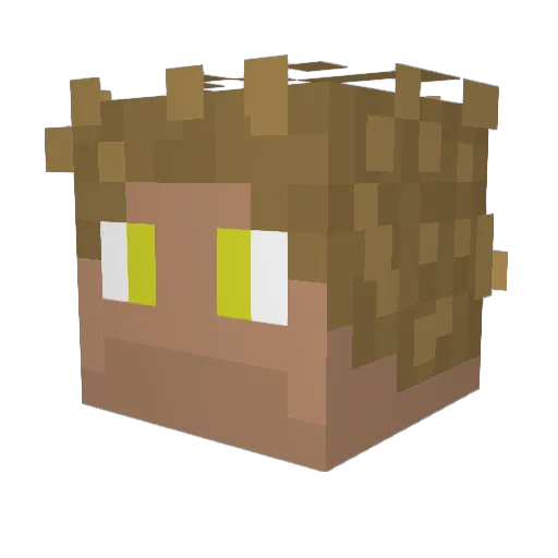 gabgab2010 Minecraft avatar head, 3D render