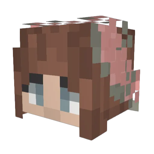 gabis30 Minecraft avatar head, 3D render