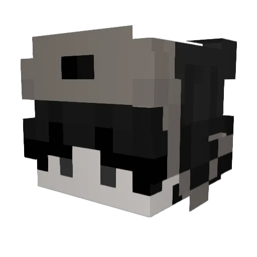 gabricpvp Minecraft avatar head, 3D render