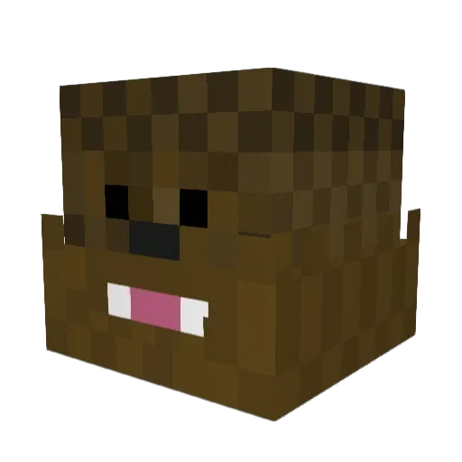 gabrielcrafter99 Minecraft avatar head, 3D render