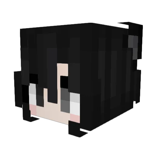 gabrielspup Minecraft avatar head, 3D render