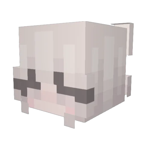 gadaeya Minecraft avatar head, 3D render