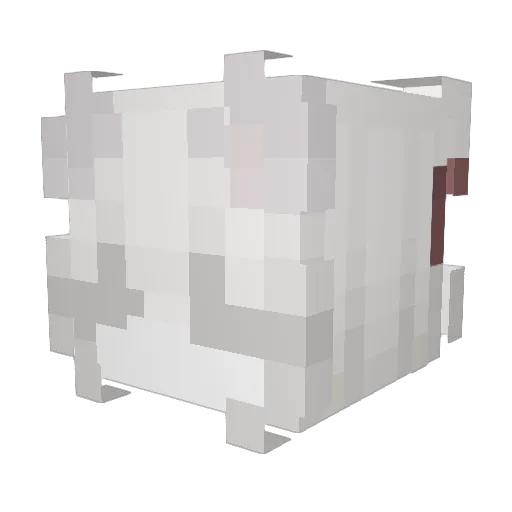 gagies Minecraft avatar head, 3D render