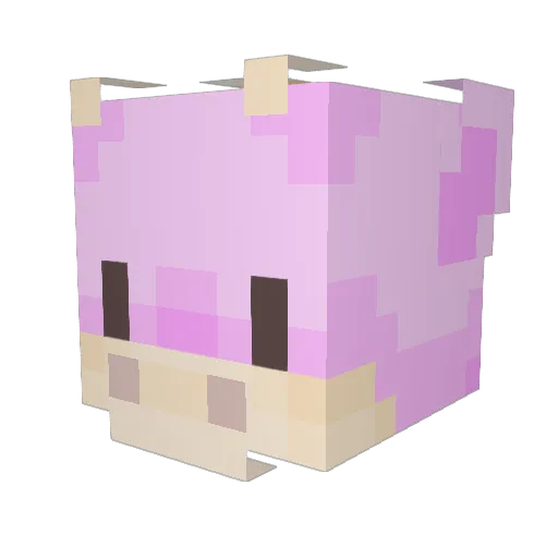 gail15 Minecraft avatar head, 3D render