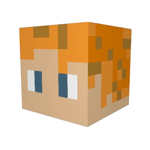 gailallenet Minecraft avatar head, 3D render