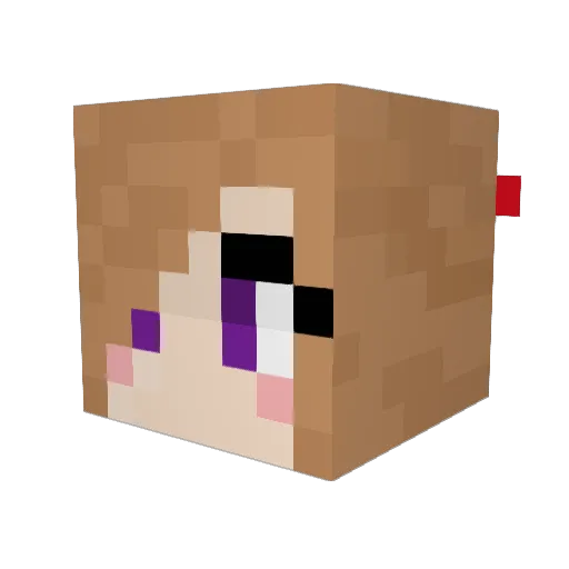gailsp20 Minecraft avatar head, 3D render