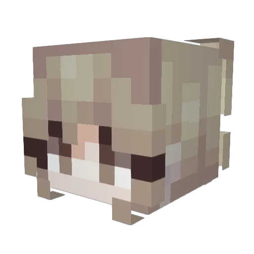 gaksseurtang Minecraft avatar head, 3D render