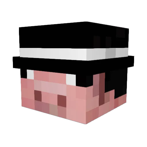galacticfillet Minecraft avatar head, 3D render