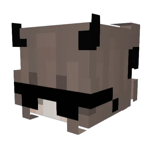 galatictides Minecraft avatar head, 3D render