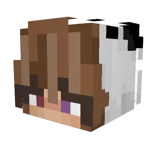 galaxy172186 Minecraft avatar head, 3D render
