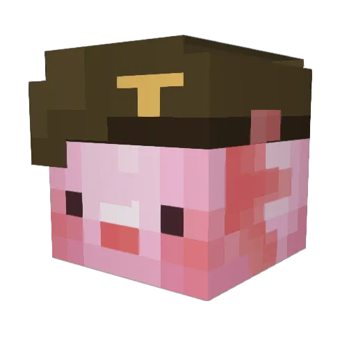 galaxyhero06 Minecraft avatar head, 3D render