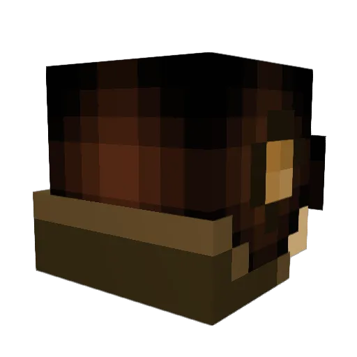 galaxyinapot Minecraft avatar head, 3D render