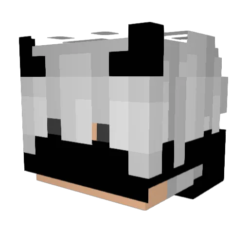galaxyknights Minecraft avatar head, 3D render