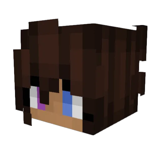 galaxypaiva Minecraft avatar head, 3D render