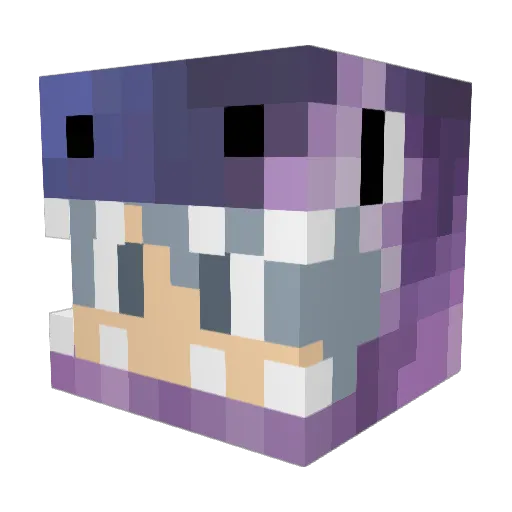 galaxypickle0323 Minecraft avatar head, 3D render