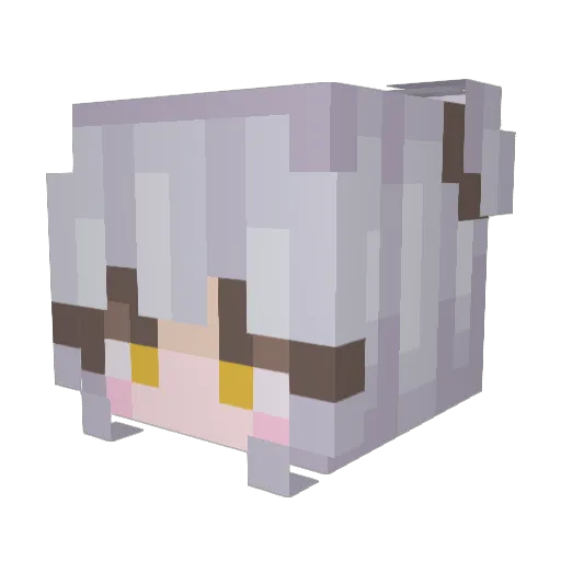 galaxypuppygirl Minecraft avatar head, 3D render