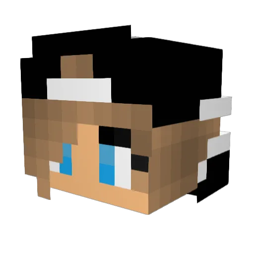 galaxyunicorns Minecraft avatar head, 3D render