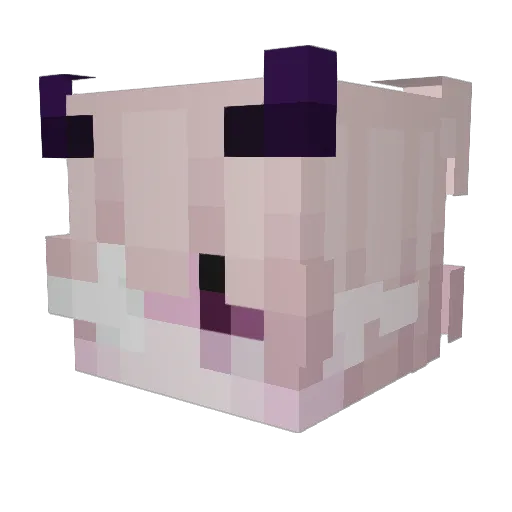 galaxywxlf Minecraft avatar head, 3D render