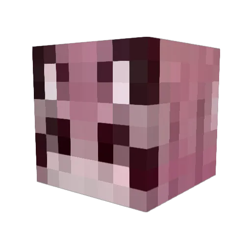 galchonok_ Minecraft avatar head, 3D render
