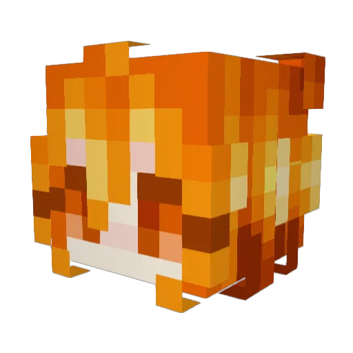gallavoirs Minecraft avatar head, 3D render
