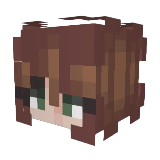 gallegoose Minecraft avatar head, 3D render