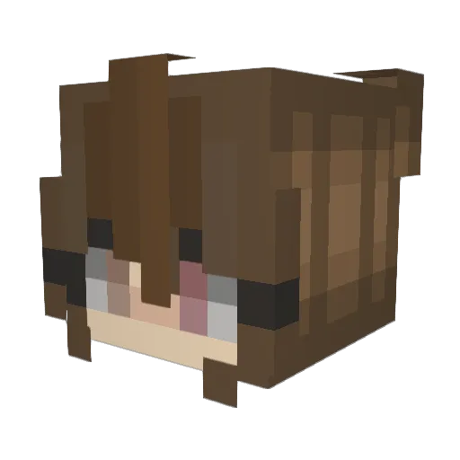 gamRegirl Minecraft avatar head, 3D render