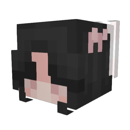 game07_07 Minecraft avatar head, 3D render