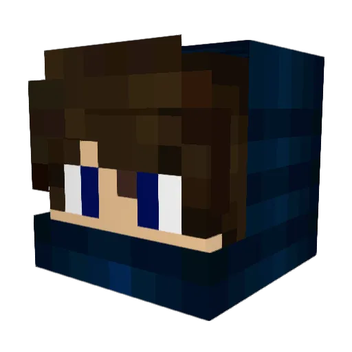 gamecocks2005 Minecraft avatar head, 3D render